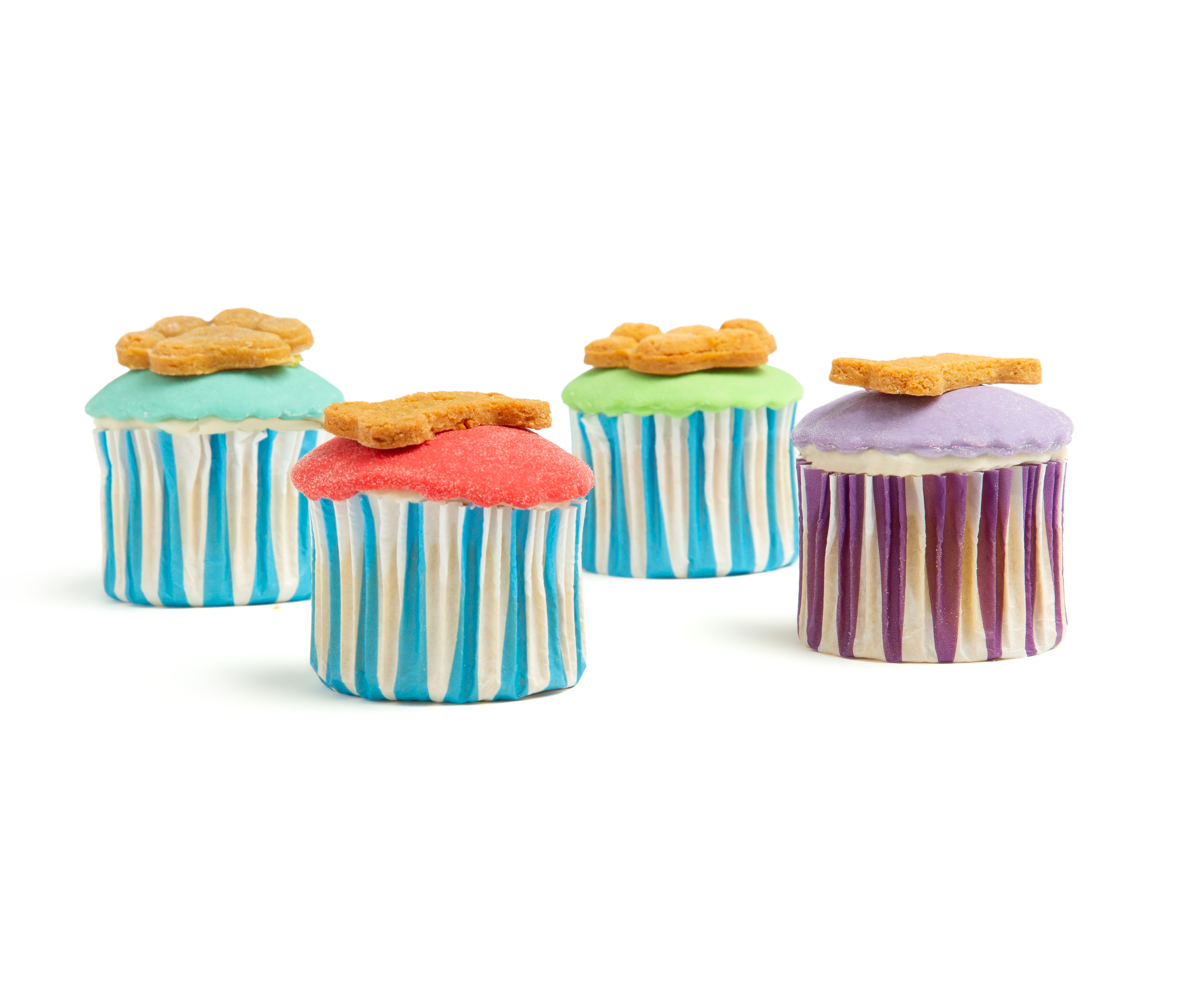 Pupcakes (4 PCS) - Multicolor