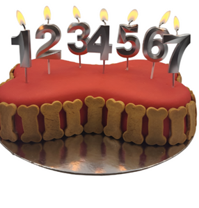 Candle - Number