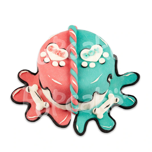 Pawtoon Reveal Cake