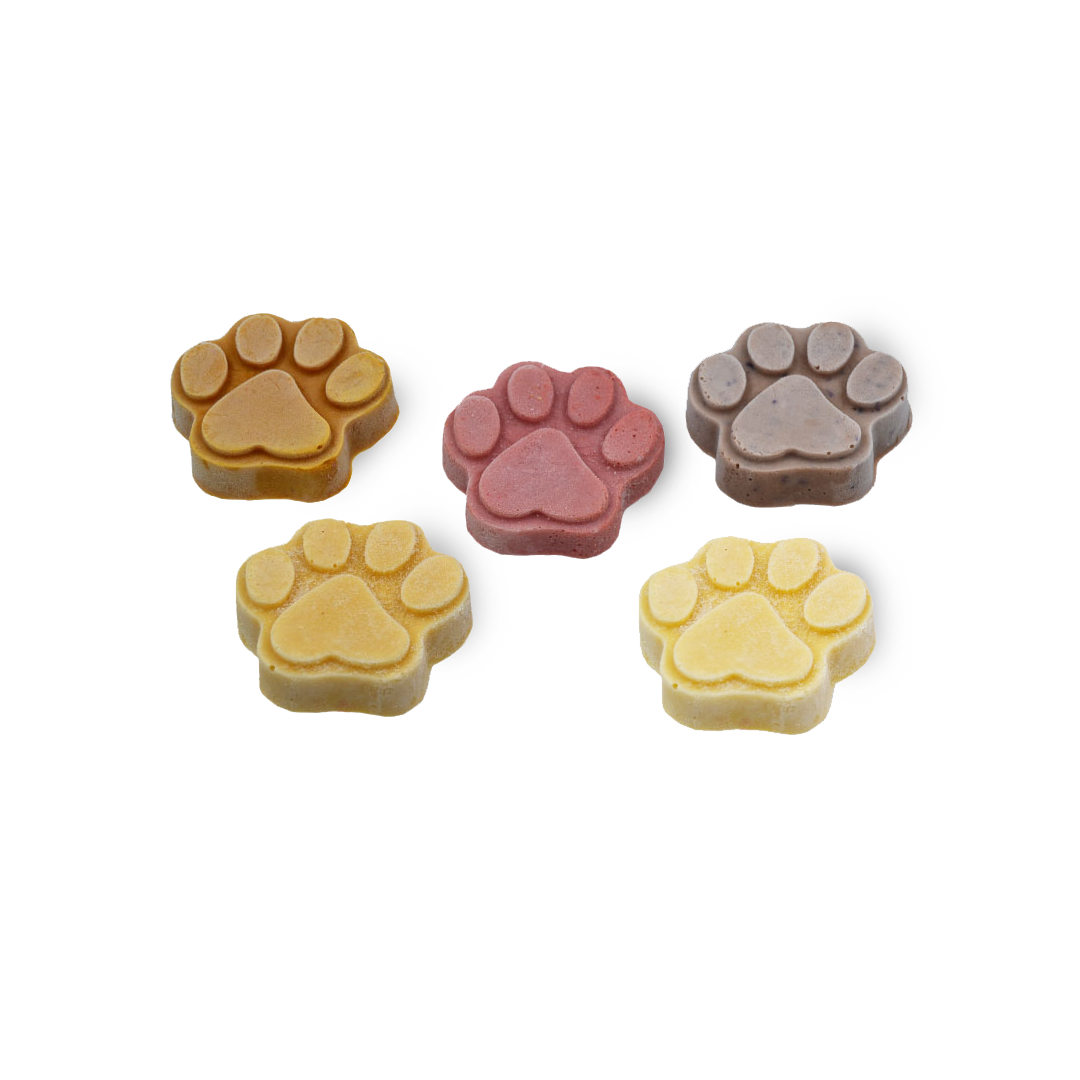PuPsicle (5 pcs) - Paw
